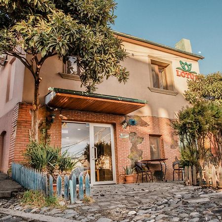 Lotus Hotel Tbilisi Zewnętrze zdjęcie